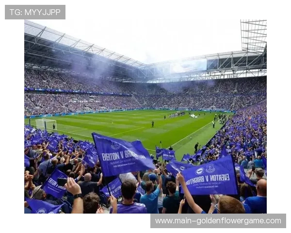 多家英超俱乐部启动球场翻新计划，提升观赛体验成重点