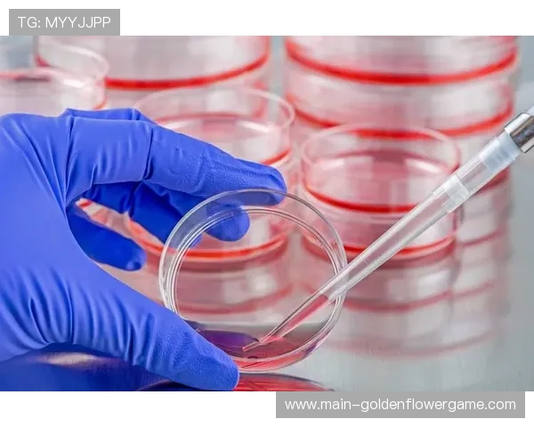 分析师展望《eFootball™》手机组决赛：操作精度成胜负关键