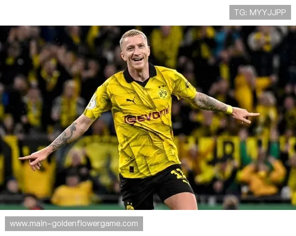 多特蒙德客场4-2战胜哥本哈根，罗伊斯替补建功