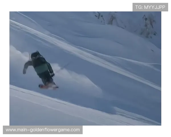 世界高山滑雪杯因雪崩风险延期，组委会加装防护网